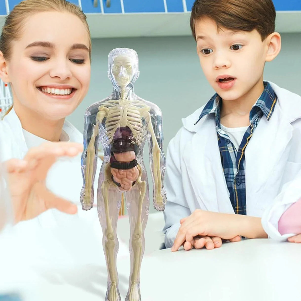 BodyQuest® - Aprendizagem do corpo humano