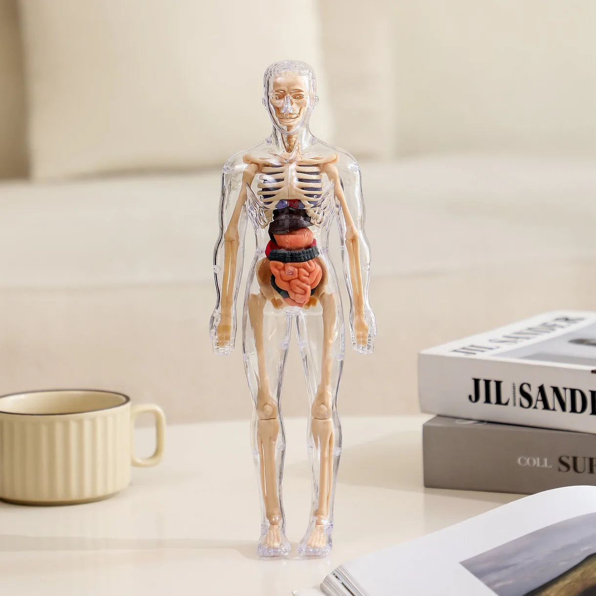 BodyQuest® - Aprendizagem do corpo humano